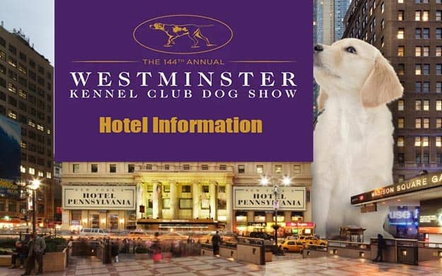 Hotel-Information-in-DogShow-2020