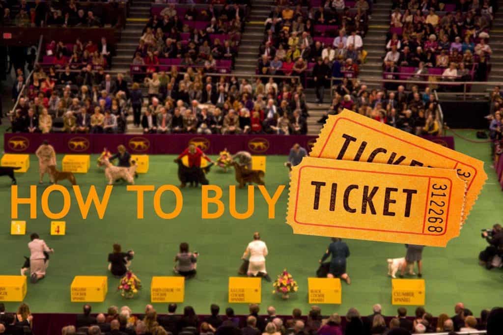 how-to-buy-ticket-dog-show