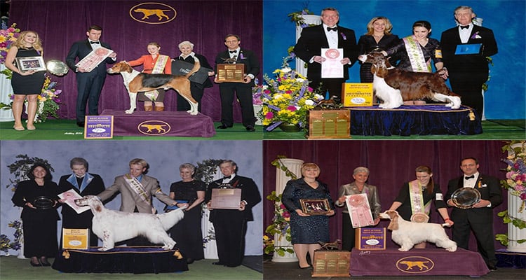 westminster dog show tickets