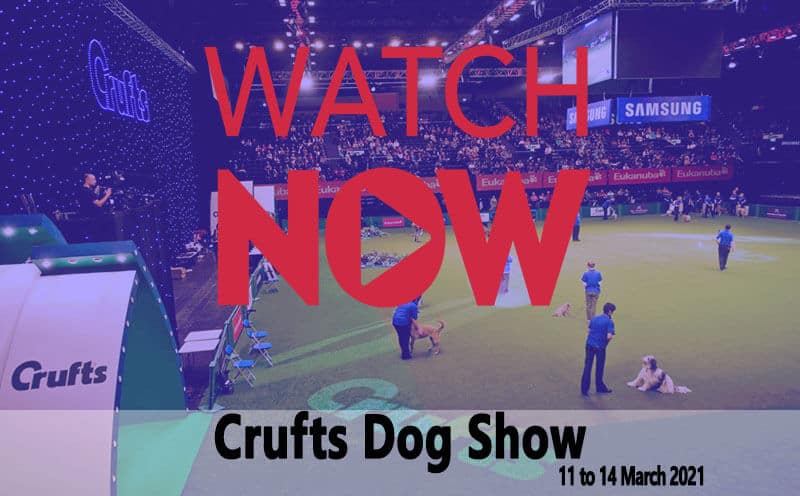 Crufts Dog Show 2021 Live Stream