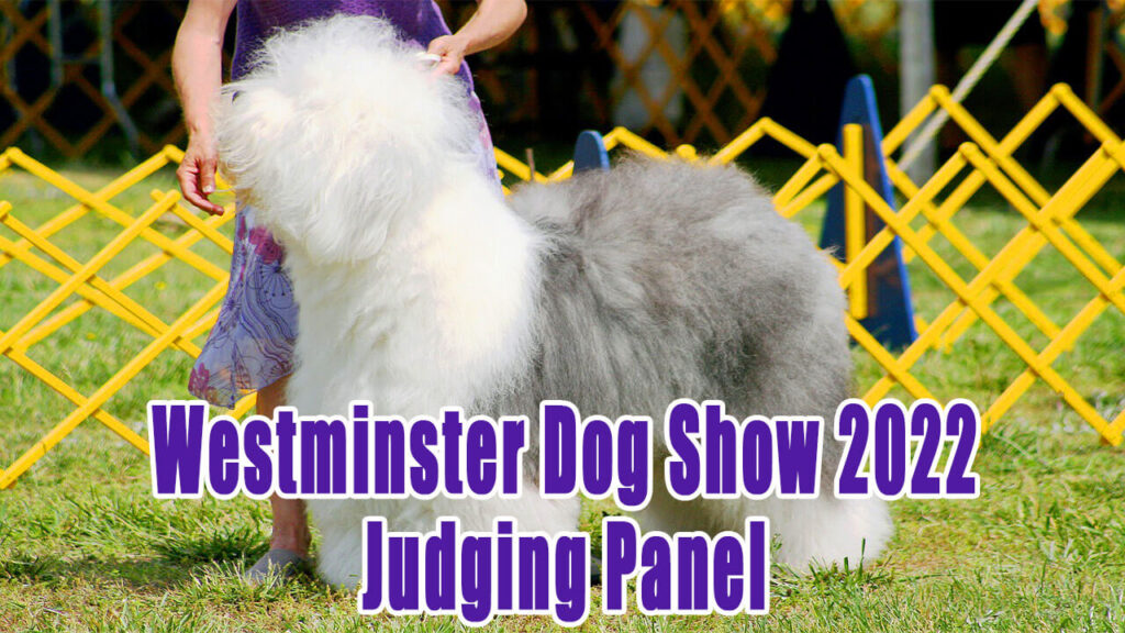Westminster Dog Show 2022 Judging Panel Updated
