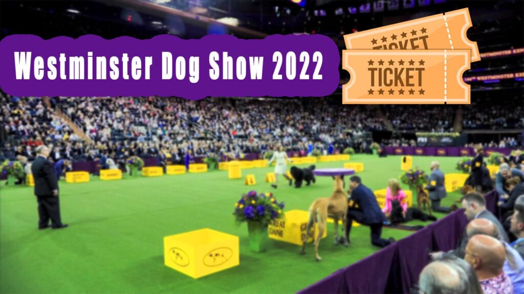 How to Buy Westminster Dog Show 2022 Tickets and HOTEL