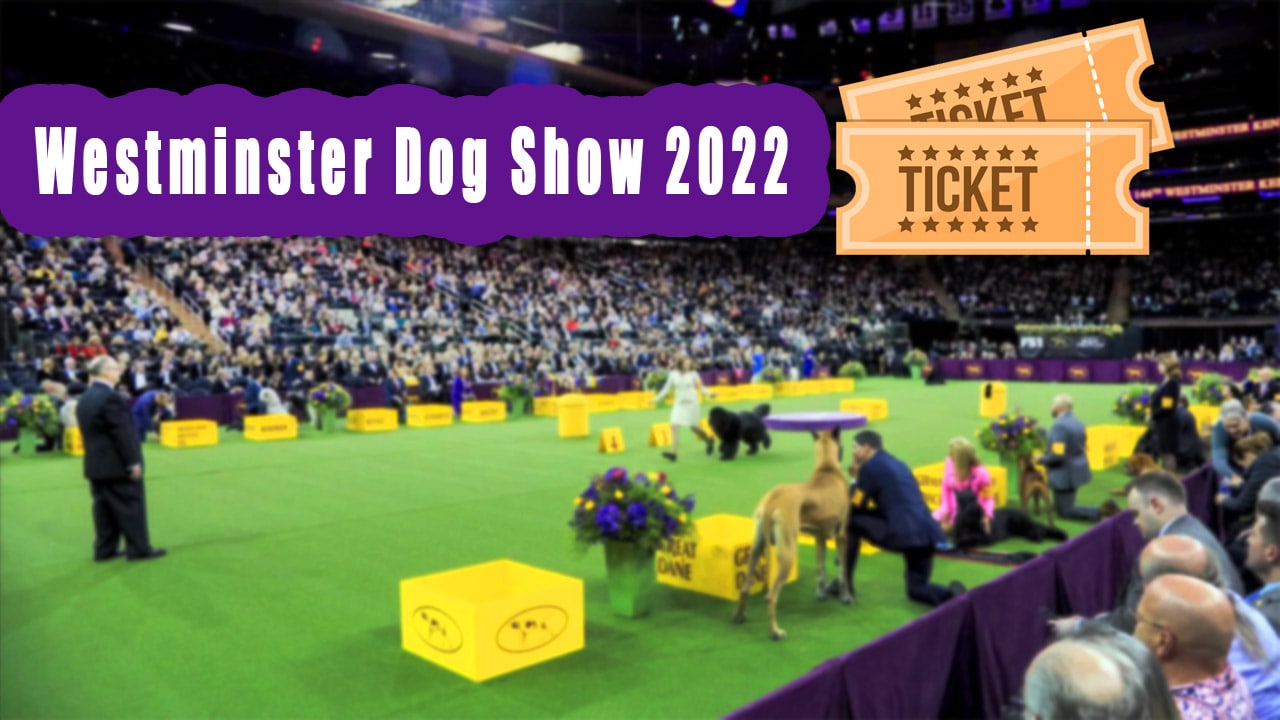 How Much Are Tickets To The Westminster Dog Show