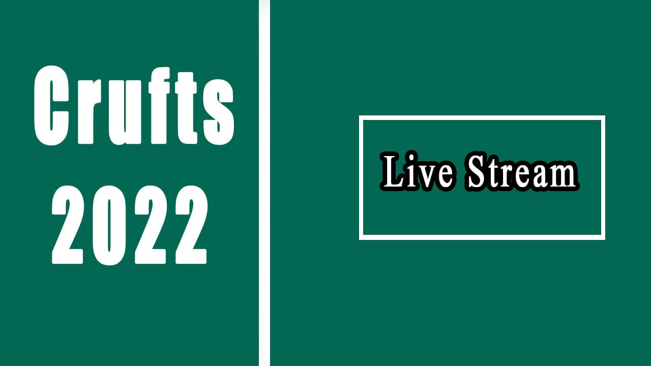Crufts Dog Show 2022 Live Stream