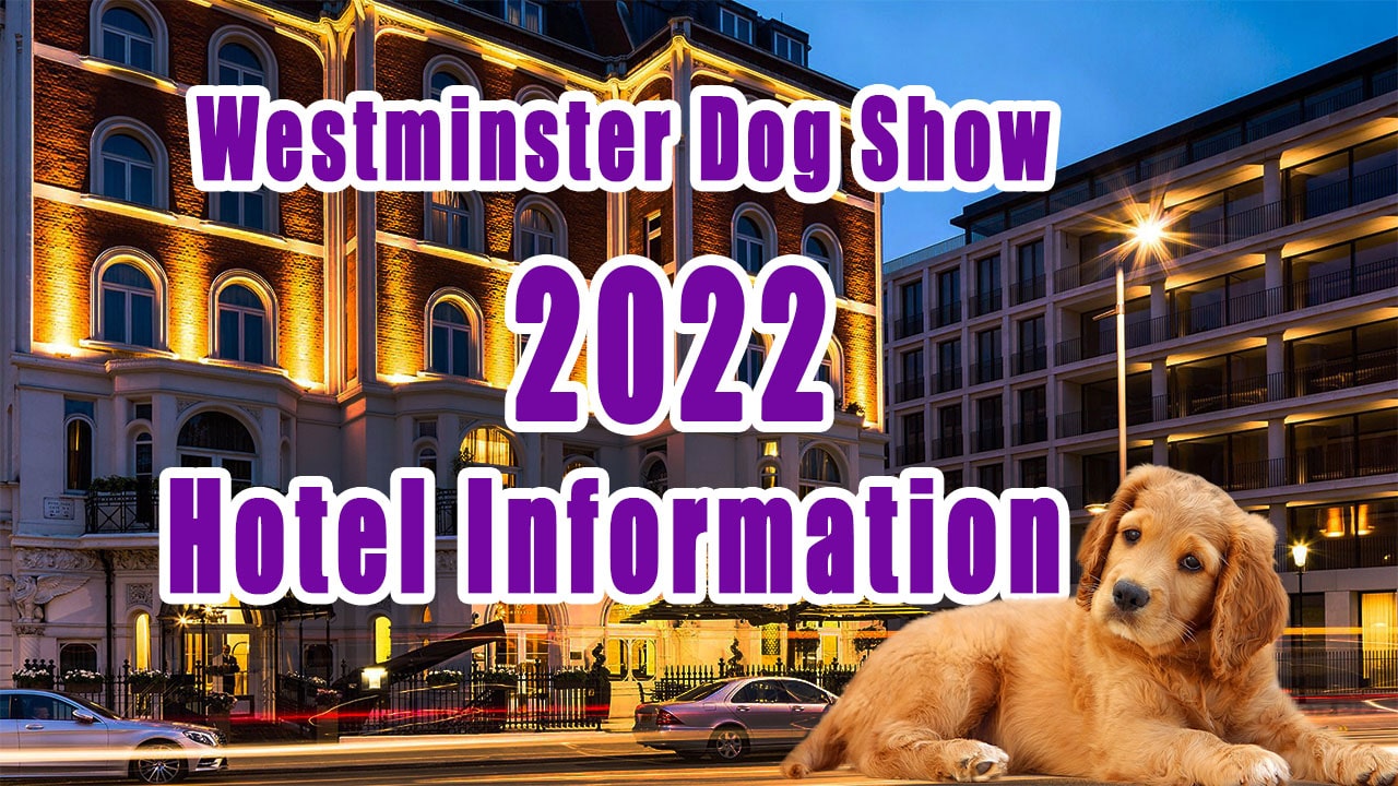 Westminster Dog Show 2022 Hotel Information
