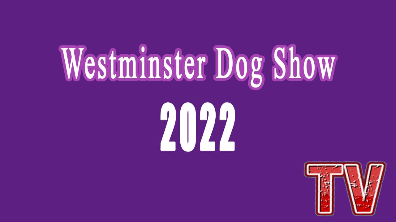 How to Watch Westminster Dog Show 2022 Live Streaming online