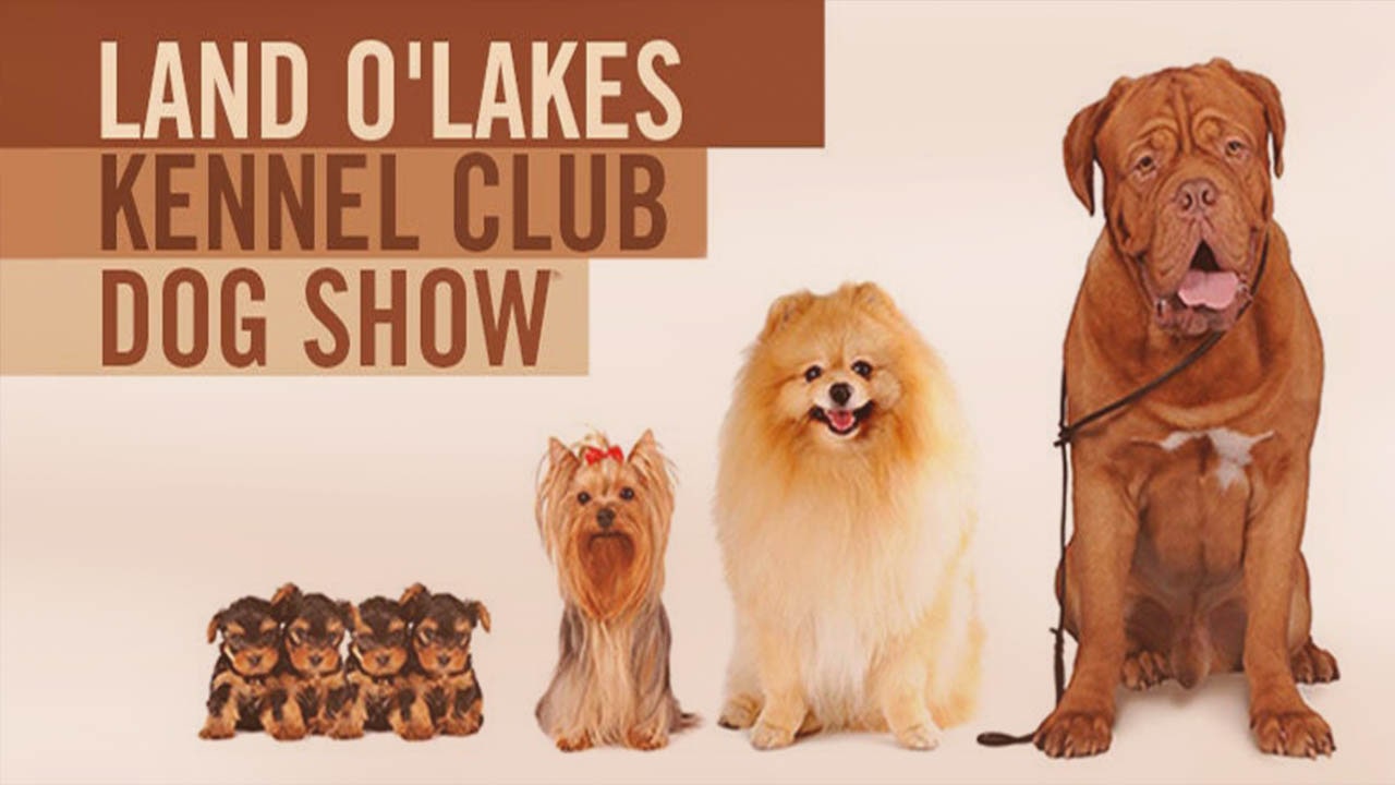 Land O'Lakes Kennel Club Dog Show