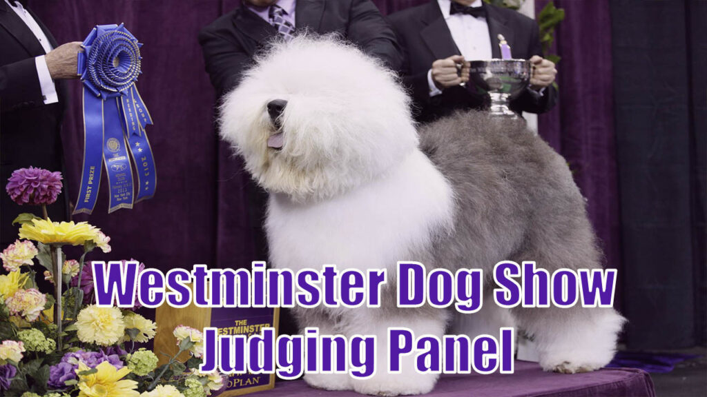 Westminster Dog Show 2023 Judging Panel List Let's Know