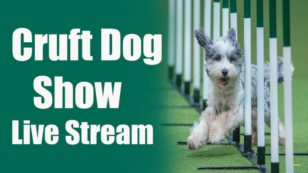 How To Watch Cruft Dog Show 2023 Live Stream Online Free!!!