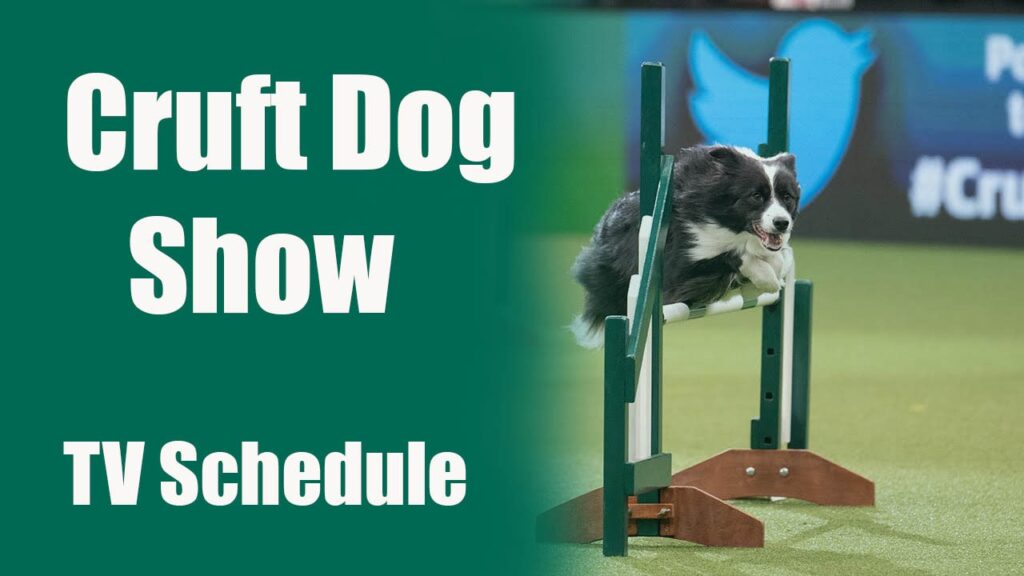 Cruft Dog Show 2023 TV Schedule Everything to Know