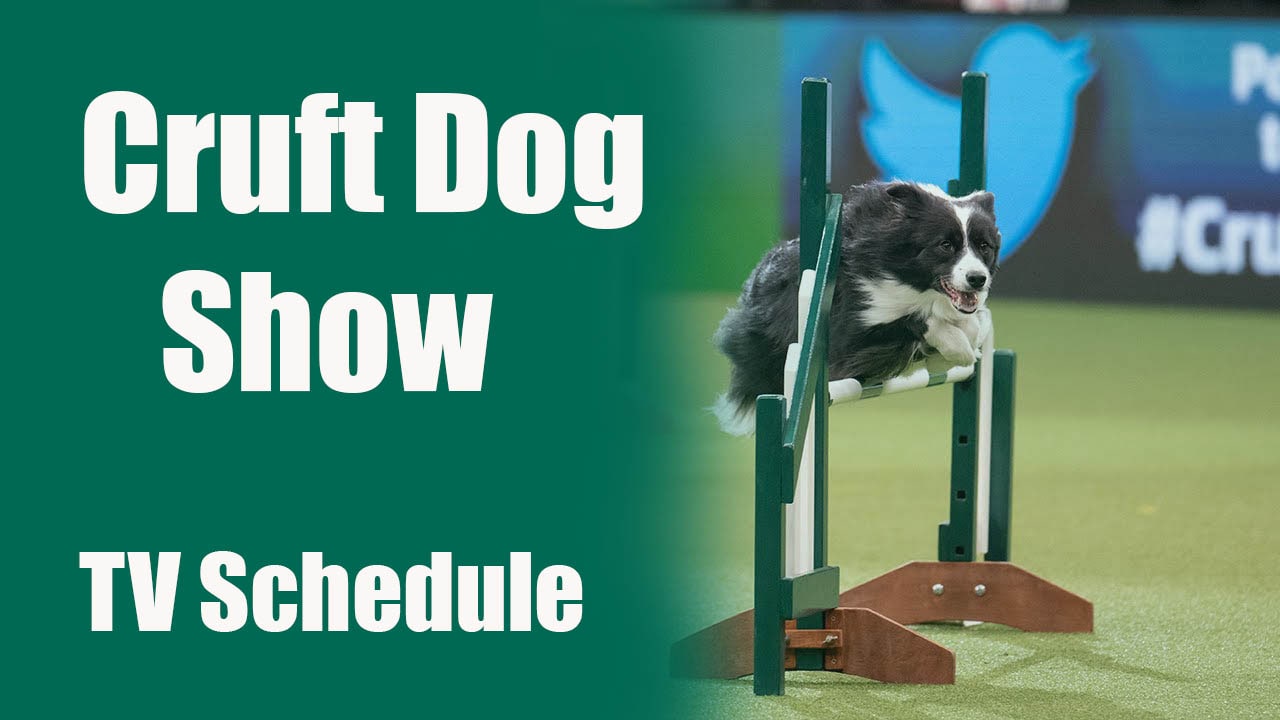 Cruft Dog Show TV Schedule