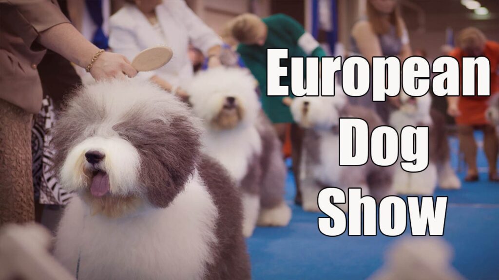 European Dog Show 2023 Live Stream, Tickets & Schedule Info Dog Show TV