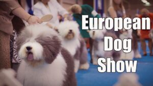 European Dog Show