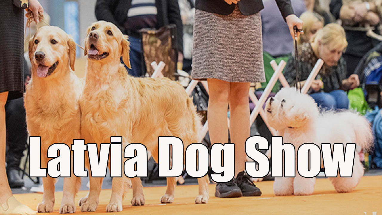 Latvia Dog Show 