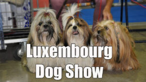 Luxembourg Dog Show