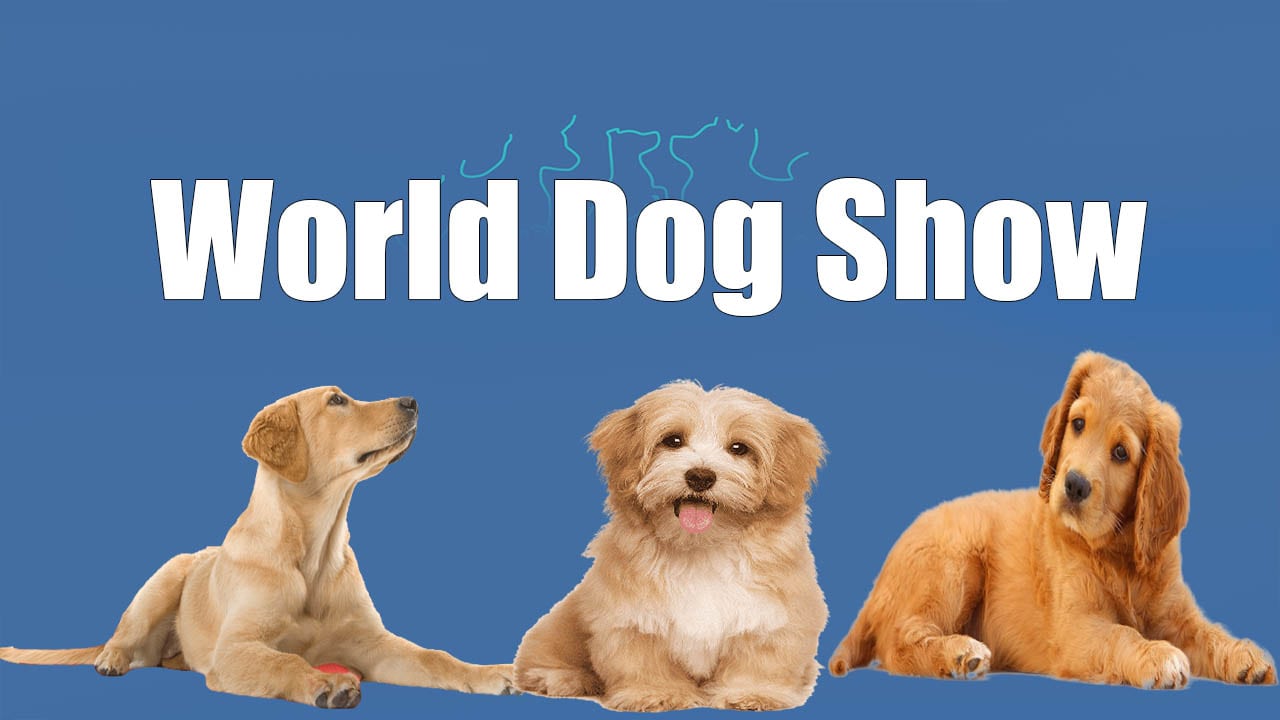 World Dog Show Live Stream