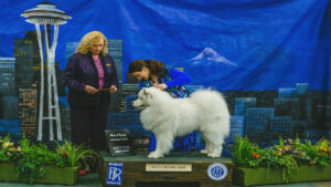 Baray Dog Show Results