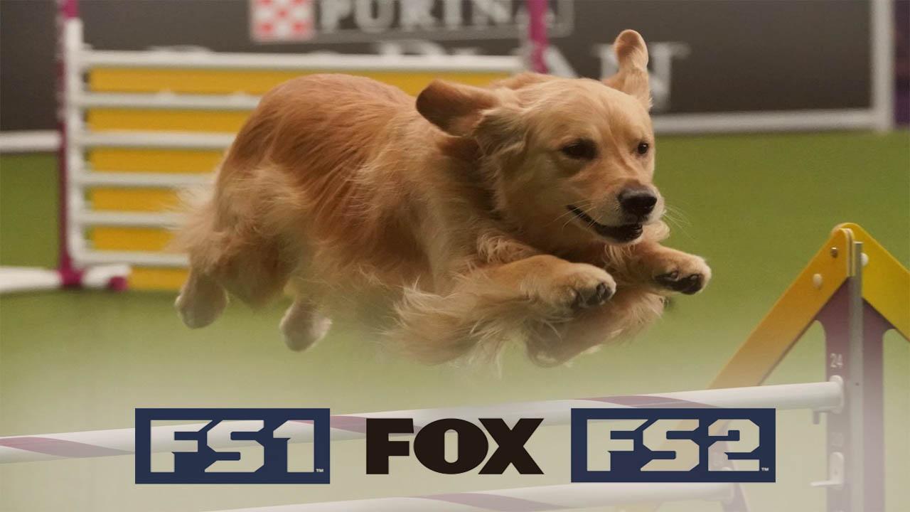 How to Watch WKC Dog Show on FS1 and FS2 on TV