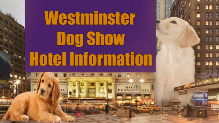 Hotel Information for the Westminster Dog Show