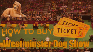 How to Buy Westminster Dog Show Tickets