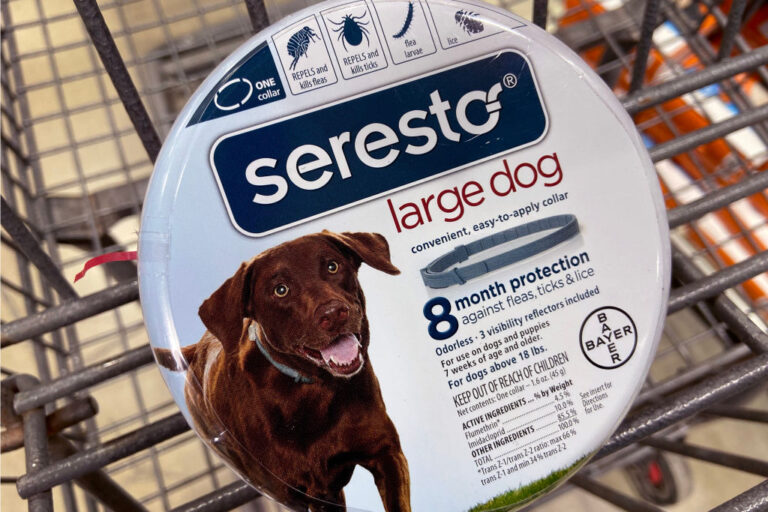 Bayer Seresto Flea And Tick Collar for Dogs Stores