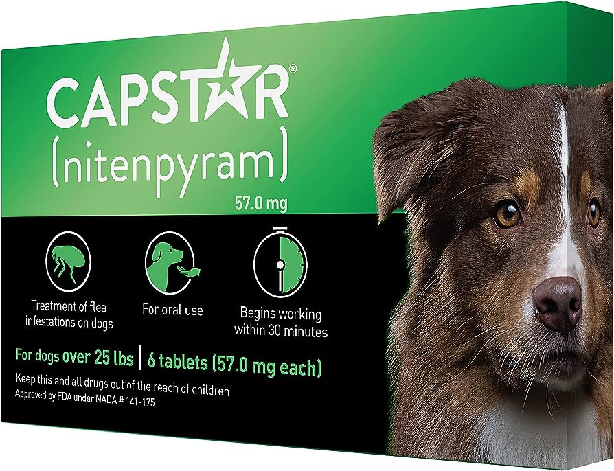 Best Flea Treatment for Dogs Without a Vet Prescription