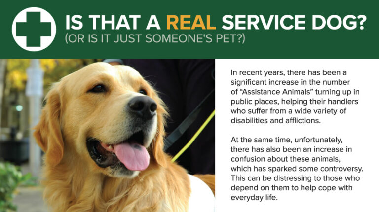 Can You Legally Ask for Proof of Service Dog
