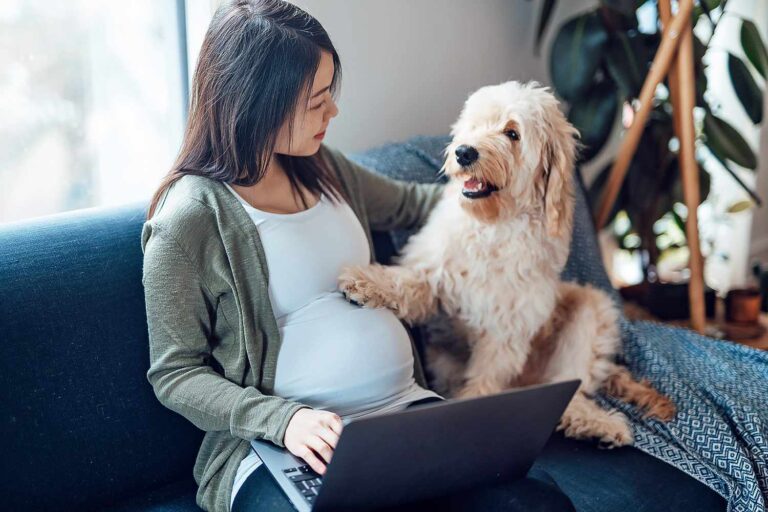 How Soon Can You Tell If a Dog is Pregnant