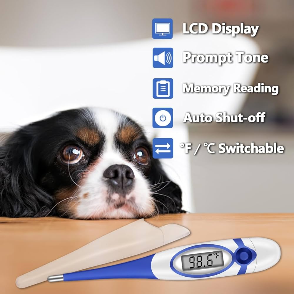 how-to-tell-if-dog-has-fever-without-thermometer-easy-home-tests