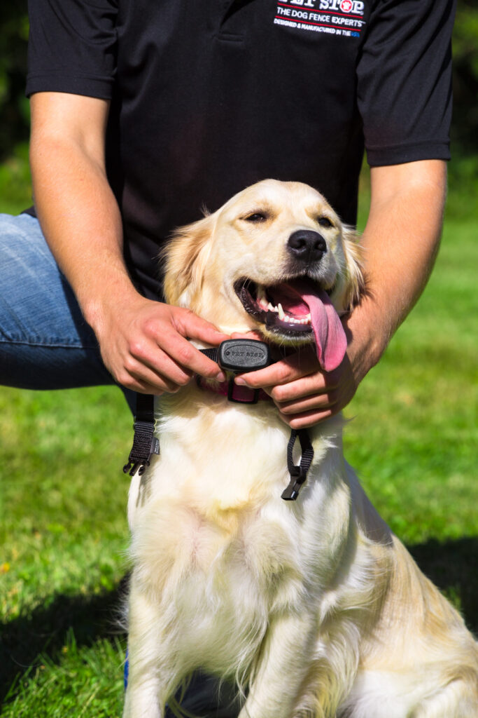 Is It Bad for Your Dog to Lick Your Feet