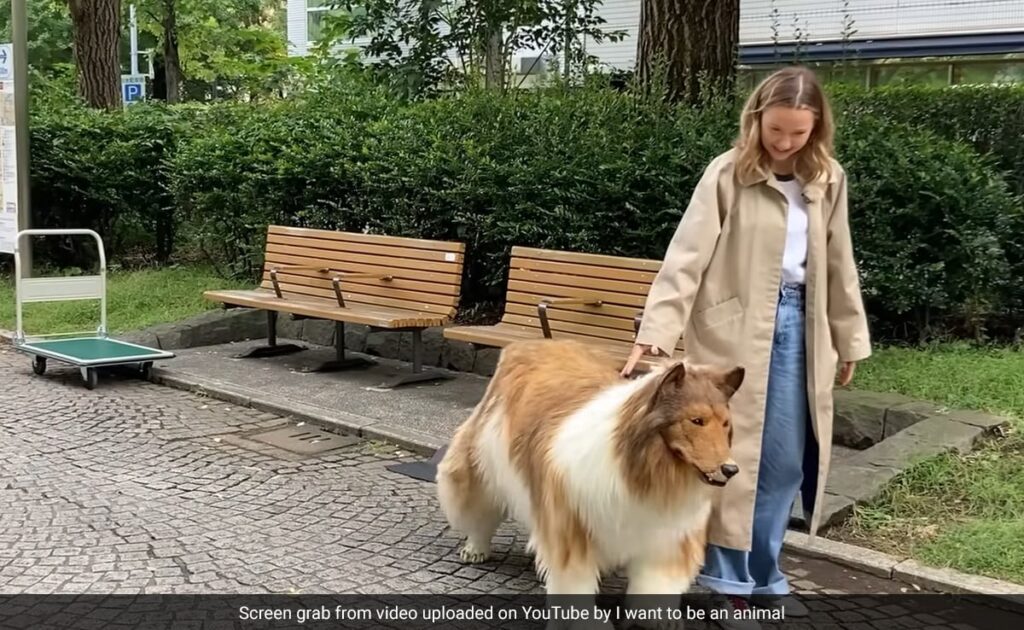 Man Who Turned Himself into a Dog before And After