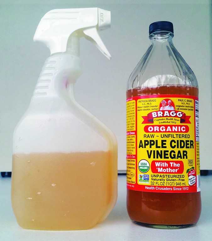Mixing Coconut Oil And Apple Cider Vinegar for Dogs