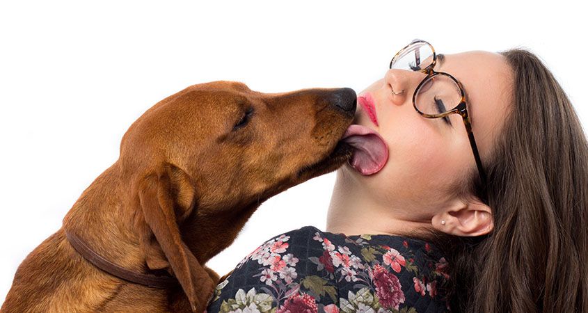 What Does It Mean When a Dog Licks Your Feet