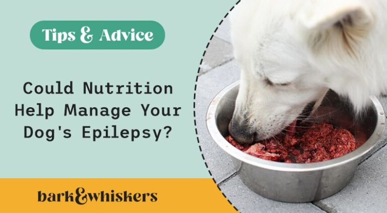 What Not to Feed a Dog That Has Seizures