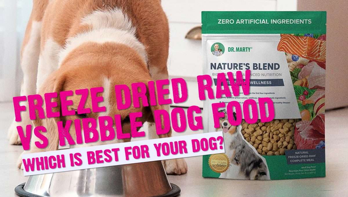 Dr. Marty Nature'S Blend Freeze Dried Raw Dog Food Benefits and Reviews