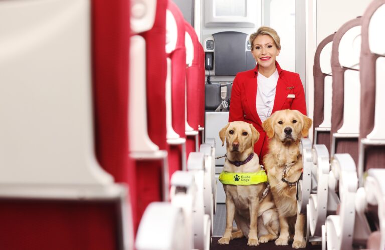 How to Get a Dog on a Plane for Free