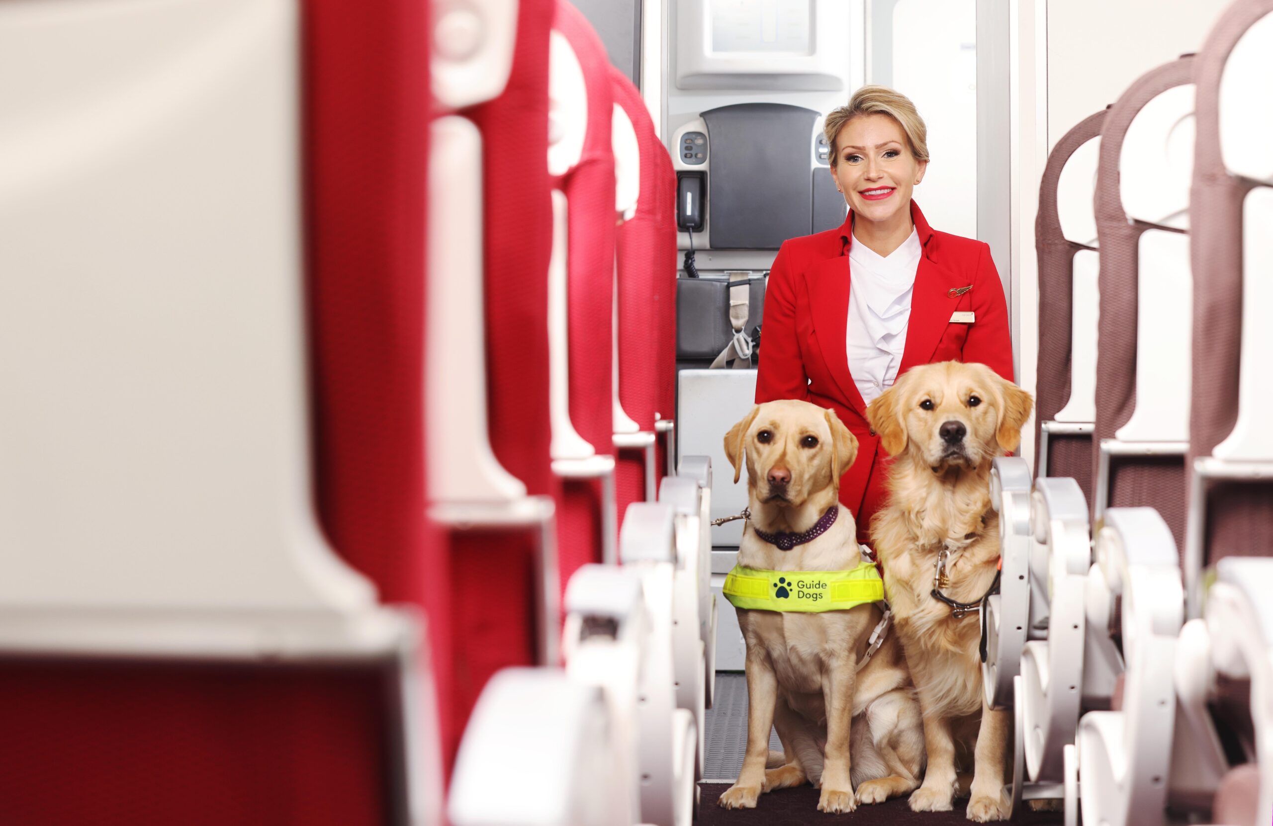 how-to-get-a-dog-on-a-plane-for-free-expert-tips