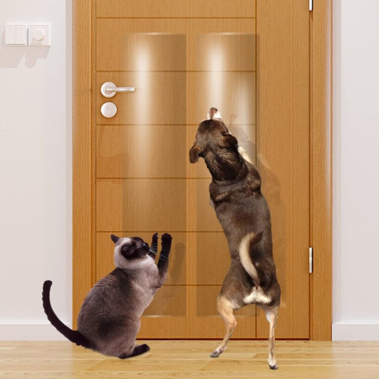 How to Stop a Dog Scratching at the Door