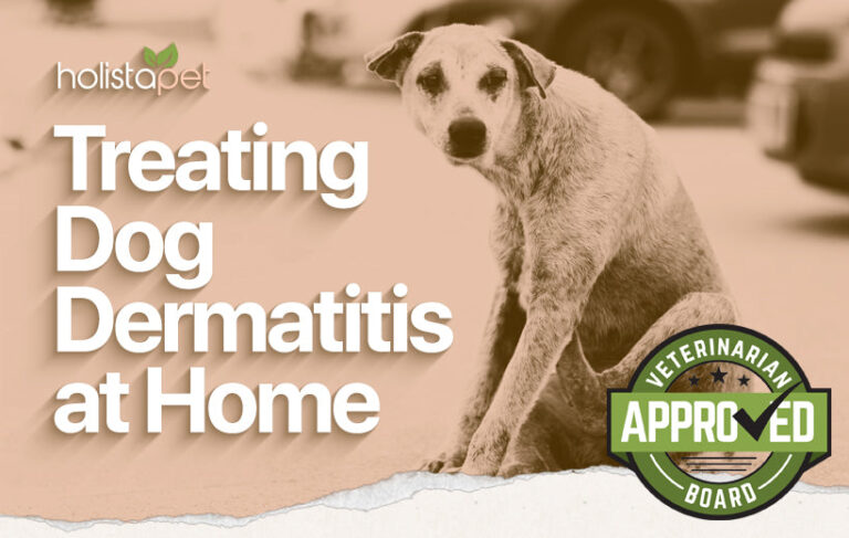 How to Treat Flea Allergy Dermatitis in Dogs at Home
