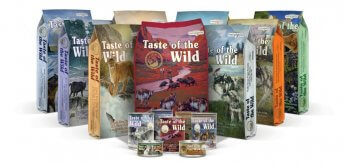 Is Taste of the Wild a Good Dog Food