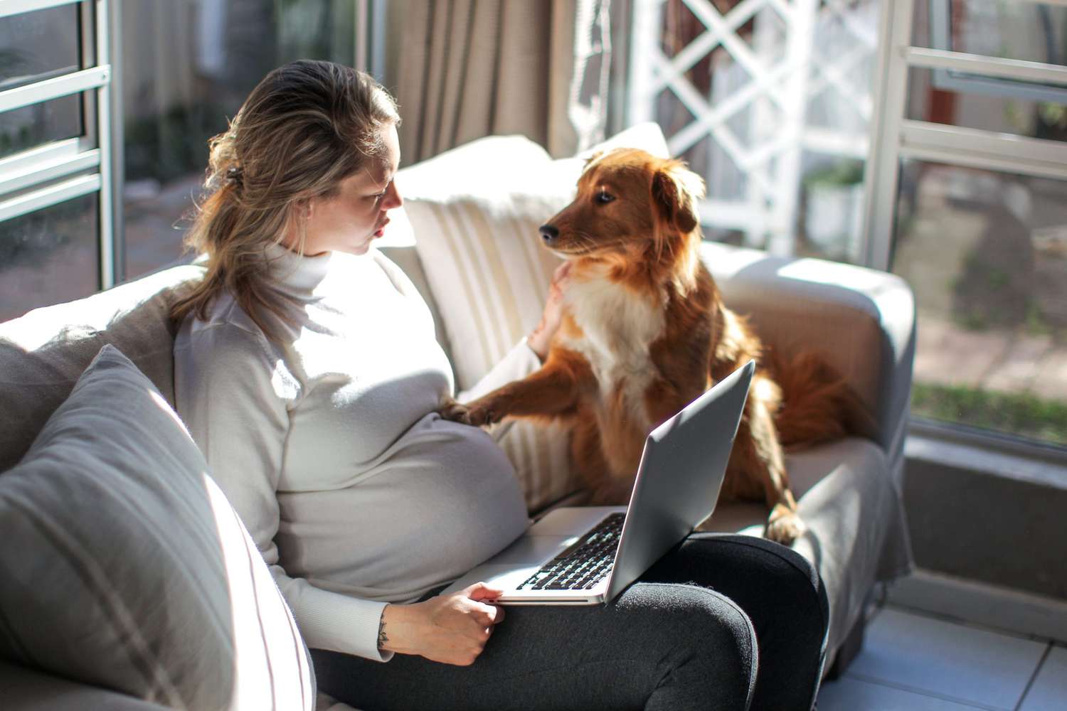 My Dog Paws at Me When I Stop Petting Her Understanding Canine Affection