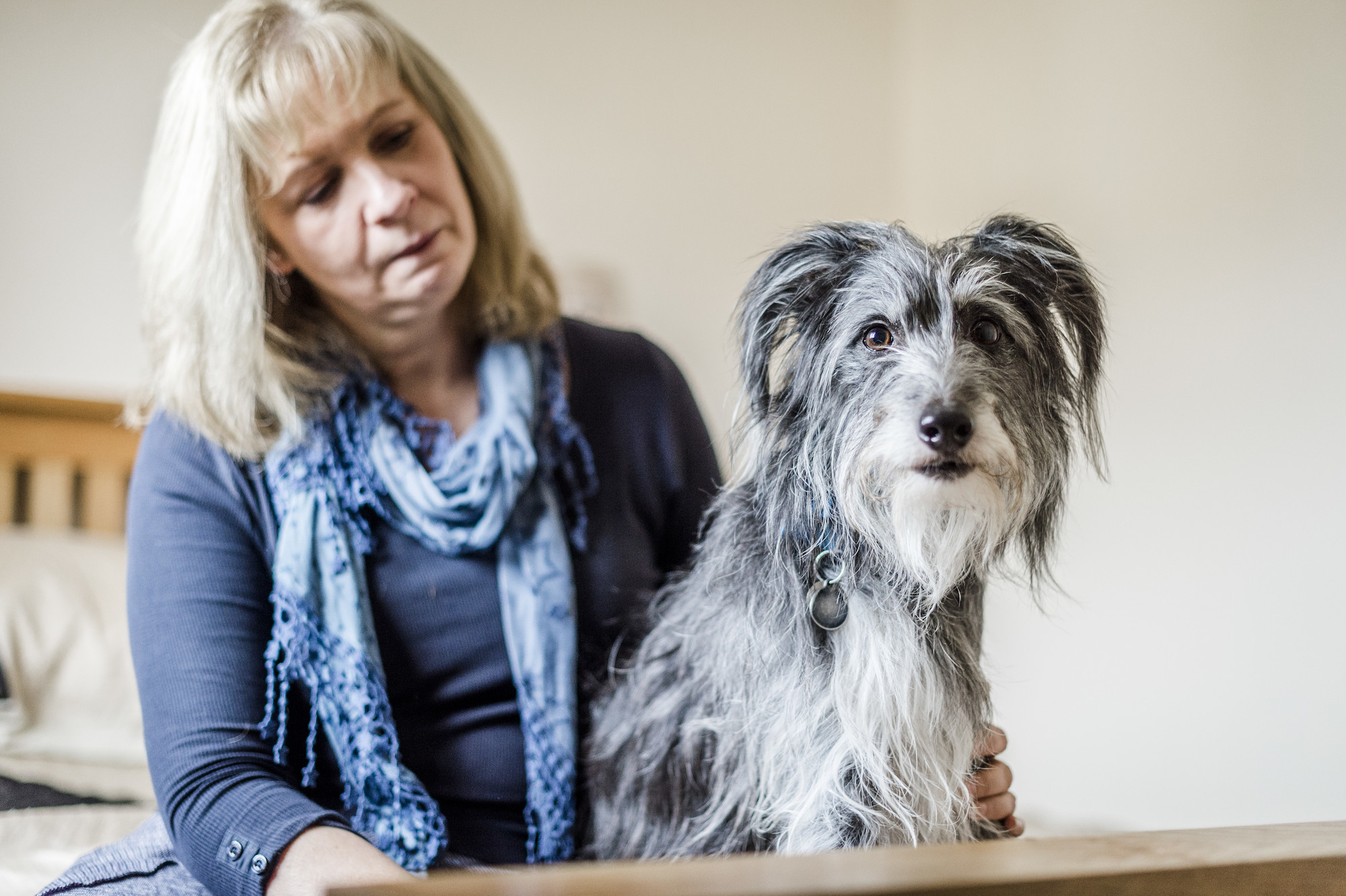 Putting My Dog down Tomorrow. How Do I Say Goodbye Coping with Pet