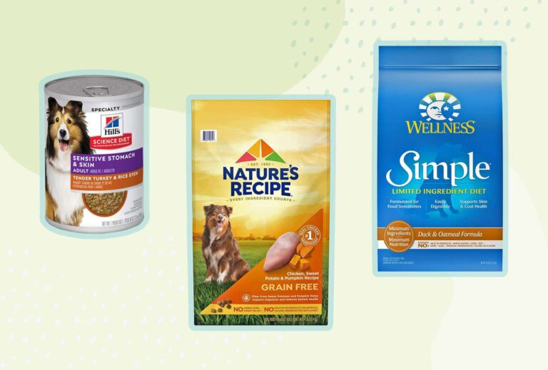 What is the Best Dog Food for Skin Allergies