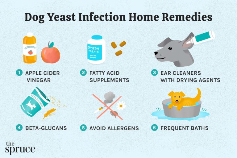 At Home Remedies for Yeast Infection in Dog'S Ear