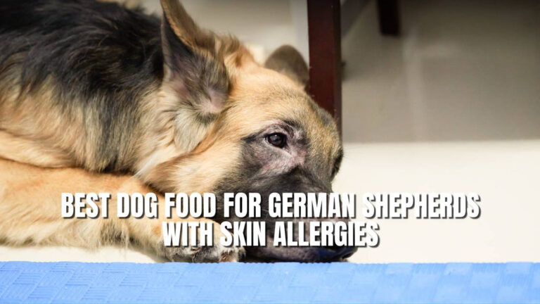 Best Dog Food for German Shepherds With Skin Allergies