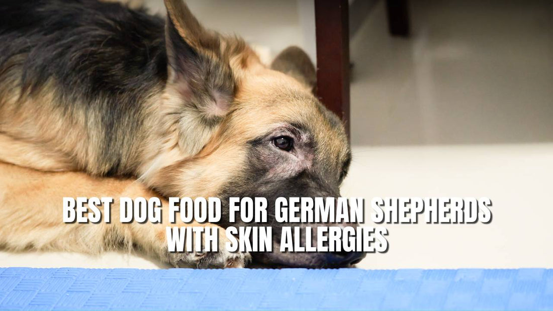 Best Dog Food for German Shepherds With Skin Allergies A Complete