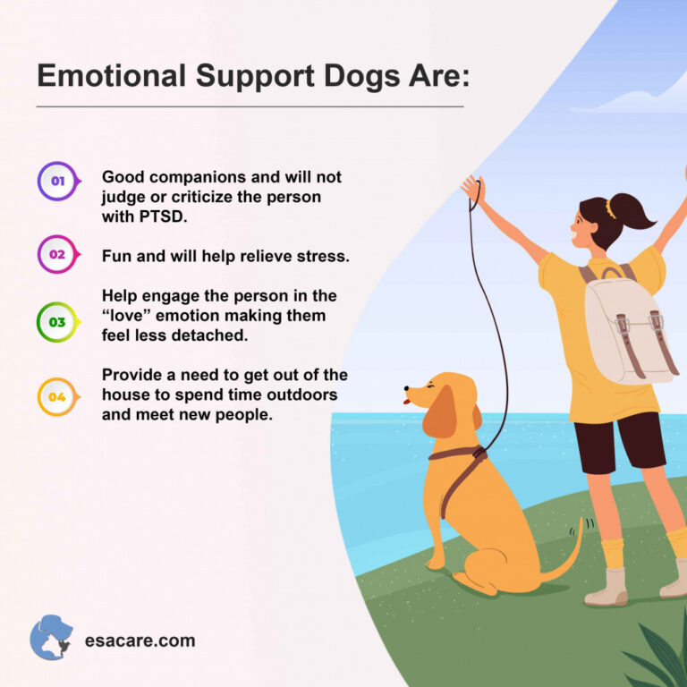 Best Emotional Support Dog Breeds for Anxiety And Depression