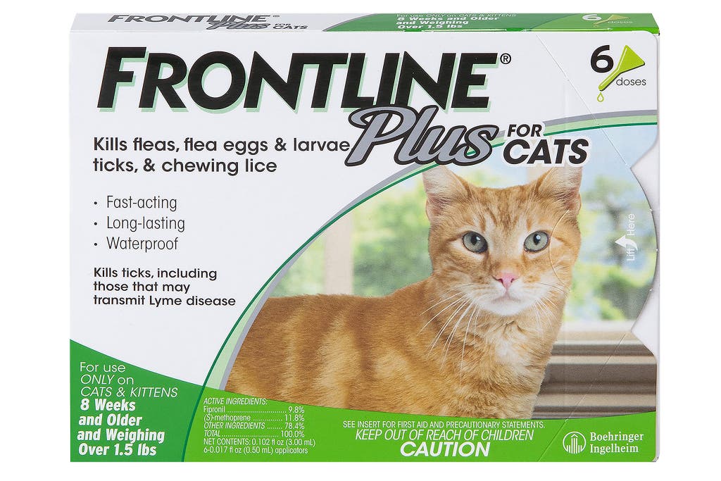 Best Flea Medicine for Dogs Without Vet Prescription 2022