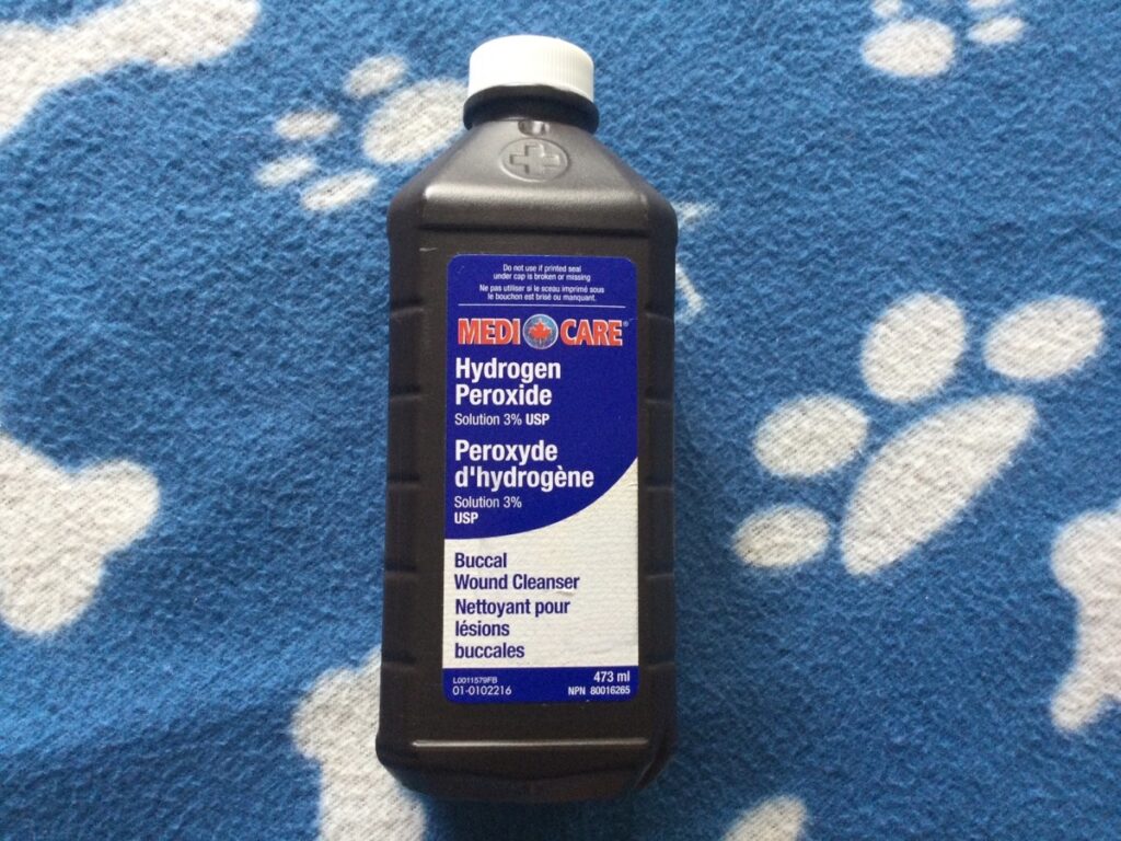 Can I Put Peroxide in My Dog'S Ear