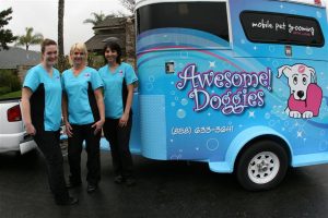 Dog Groomers That Come to Your House near Me